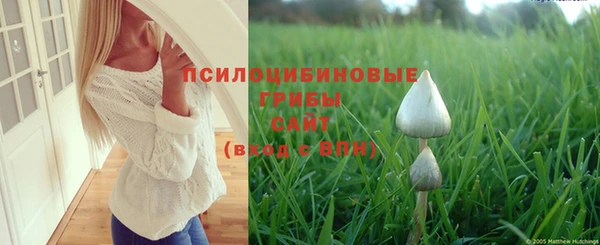 круглые Арсеньев